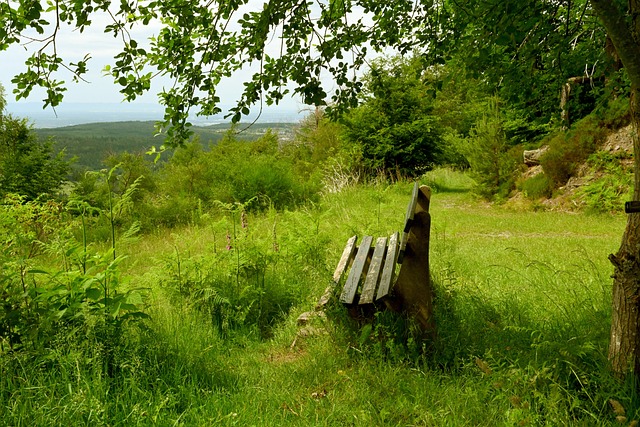 型為全面型 型為全面型