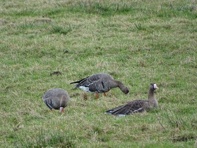中提到的 中提到的